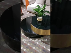 Modern High-End Paslanmaz Çelik Sertleştirilmiş Cam Otel Oturma Odası Sehpa