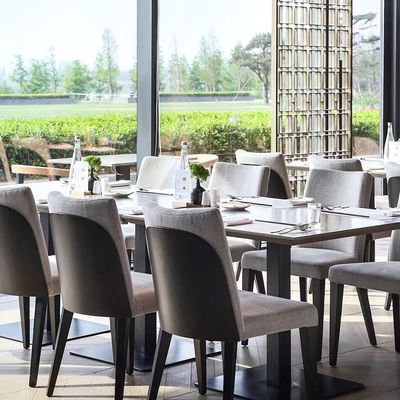 Masif Ahşap Modern Restoran Sandalye Arkalığı Kumaş Döşemeli Yemek Sandalyesi